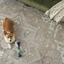 Nourison Astra Machine Washable Vintage Medallion Indoor Rug -Home Decoration Sale GUEST 000743b1 2598 4925 aa8c 706cee1ed8f9