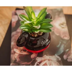 Silver Buffalo Disney Mickey Mouse 3-Inch Ceramic Mini Planter With Artificial Succulent -Home Decoration Sale GUEST 086bb3fd d844 4ee1 944d b182c44e5fd0