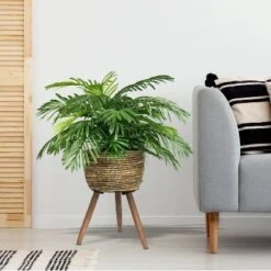 30" X 18" Artificial Phoenix Palm Plant In Basket Stand - LCG Florals -Home Decoration Sale GUEST 1ef564c5 b10d 4161 a4f1 03a59ffddfa3