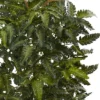 33" Bracken Fern With Decorative Planter - Nearly Natural