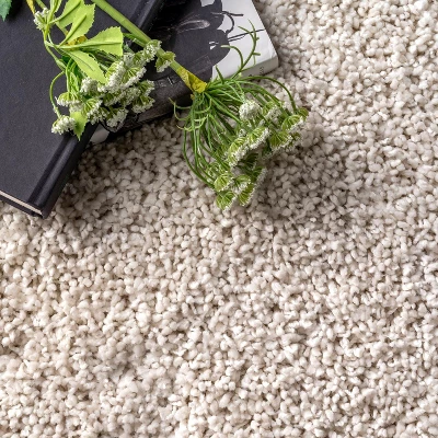 NuLOOM Clare Solid Shag Area Rug 5 NuLOOM Clare Solid Shag Area Rug - Image 5