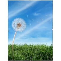 Ambiance Framing Gallery Clip Frame 6 Packs -Home Decoration Sale GUEST 47e67d14 7c1d 4ed6 ab73 ea1dbc25dc07