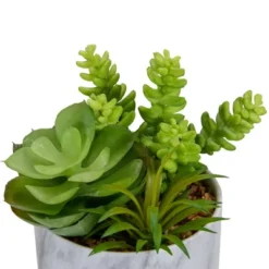 Northlight 6.5" Green Artificial Succulent Arrangement In Faux Marble Pot -Home Decoration Sale GUEST 489e735f 017d 4192 b021 3c87507944ae