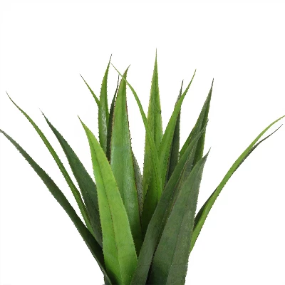 Northlight 17" Agave Succulent Artificial Potted Plant - Green/Gold 1 Northlight 17" Agave Succulent Artificial Potted Plant - Green/Gold