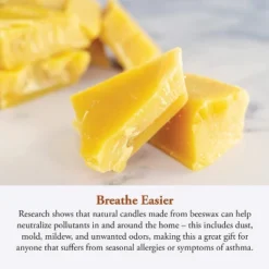 Candle By The Hour 50-Hour Beehive Candle, Eco-friendly Natural Beeswax With Cotton Wick -Home Decoration Sale GUEST 571d2e60 6be7 4456 b966 84a57ae86528