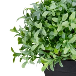 Northlight 7.5" Potted Green Artificial Boxwood Plant -Home Decoration Sale GUEST 684a4e13 adb8 4422 ae75 f862851a74ea