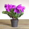 Northlight 12" Purple Potted Artificial Cyclamen Floral Arrangement