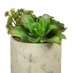 Artificial Succulent Arrangement (8") - Vickerman -Home Decoration Sale GUEST 7cab72b7 6c38 47d0 bb23 5fc118553bbf