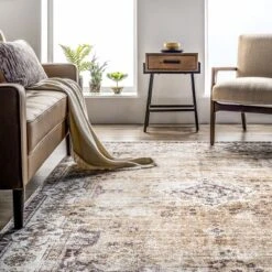 NuLOOM Paisley Machine Washable Faded Floral Border Medallion Area Rug -Home Decoration Sale GUEST 8c72de2a 5498 49ce 9287 b0a36c08a6b6