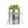 Northlight 7" Sprouting Rose Succulent Artificial Potted Plant - Green/Silver