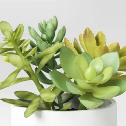 Artificial Succulents Plant In Pot - Threshold™ 4 Artificial Succulents Plant In Pot - Threshold™ -Home Decoration Sale GUEST 90eb1522 2fb2 472e 8125 d6acdc8fd939