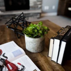 Artificial Succulent Arrangement (8") - Vickerman -Home Decoration Sale GUEST 97d0b213 5486 4bf2 b9ba 1f09f54c6e73