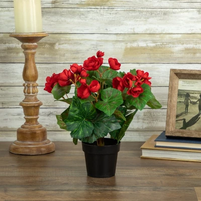 Northlight 11" Red Potted Silk Begonia Spring Artificial Floral Arrangement 1 Northlight 11" Red Potted Silk Begonia Spring Artificial Floral Arrangement