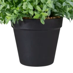 Northlight 7.5" Potted Green Artificial Boxwood Plant -Home Decoration Sale GUEST d3c30343 9afc 4a38 b3e7 f1b1e8cdbf4b