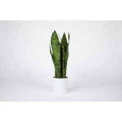 Fybold 16'' Artificial Fake Snake Plants - 7 Tall Leaves